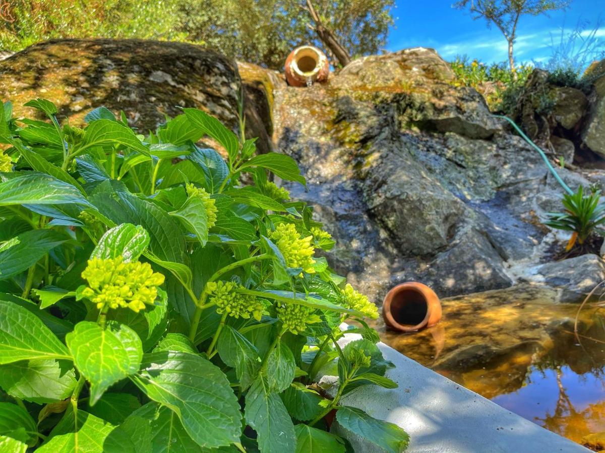 Casa Rico Frade Garden Otel São Pedro do Corval Dış mekan fotoğraf
