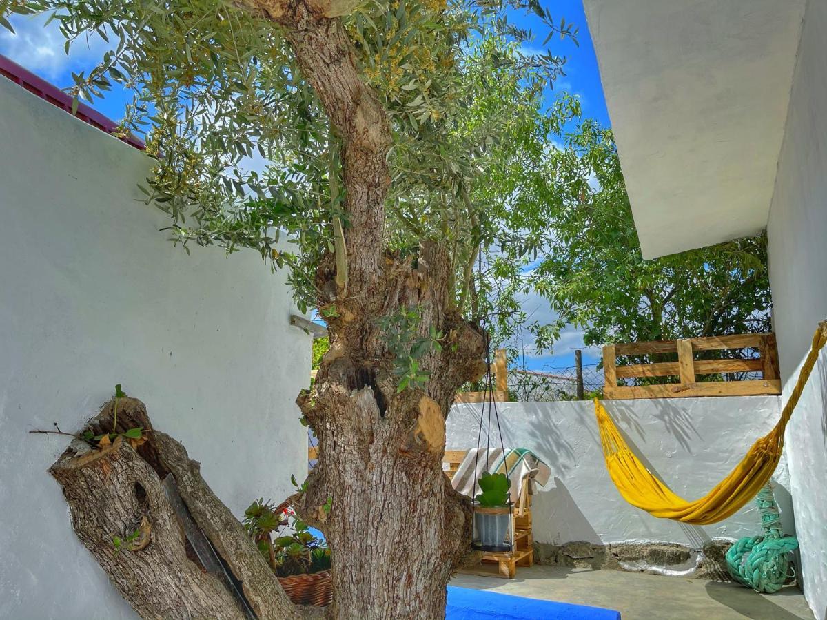 Casa Rico Frade Garden Otel São Pedro do Corval Dış mekan fotoğraf