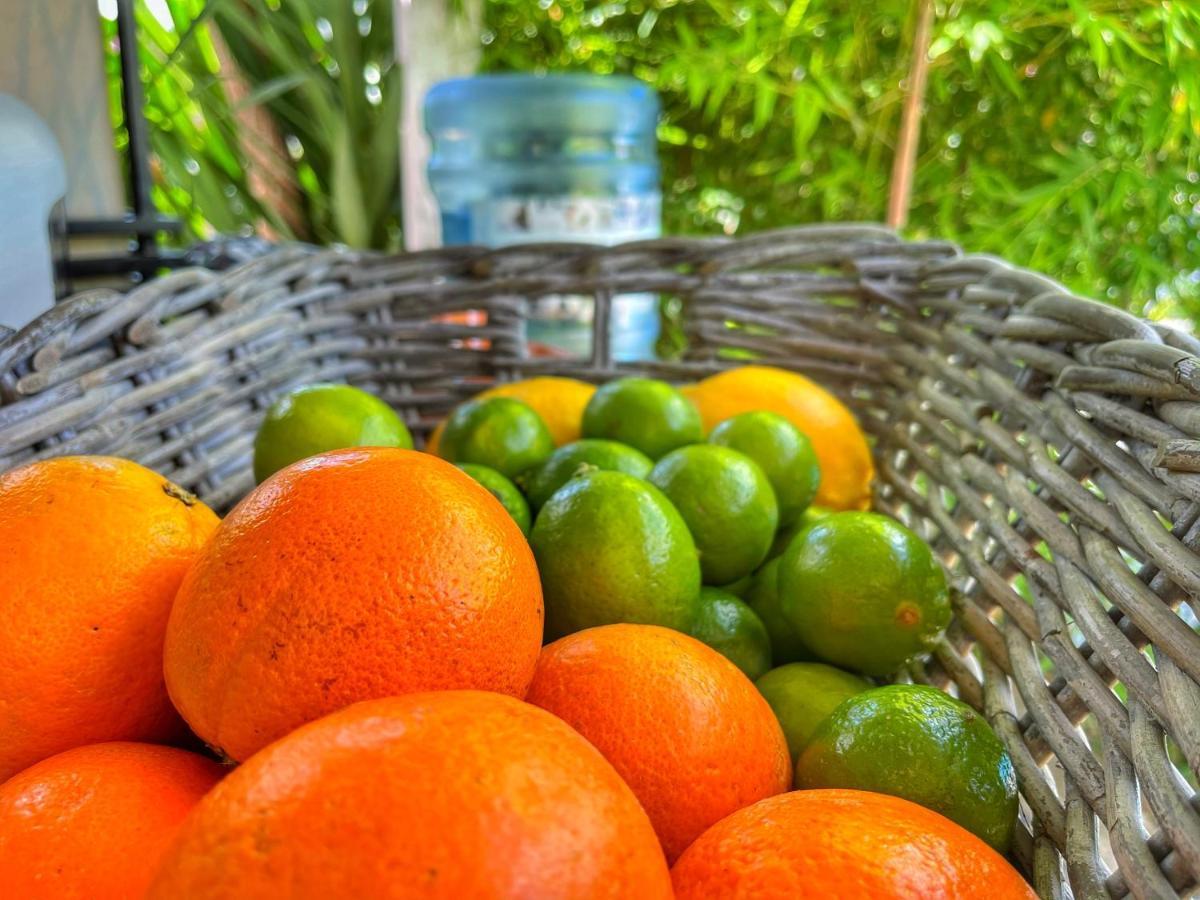 Casa Rico Frade Garden Otel São Pedro do Corval Dış mekan fotoğraf