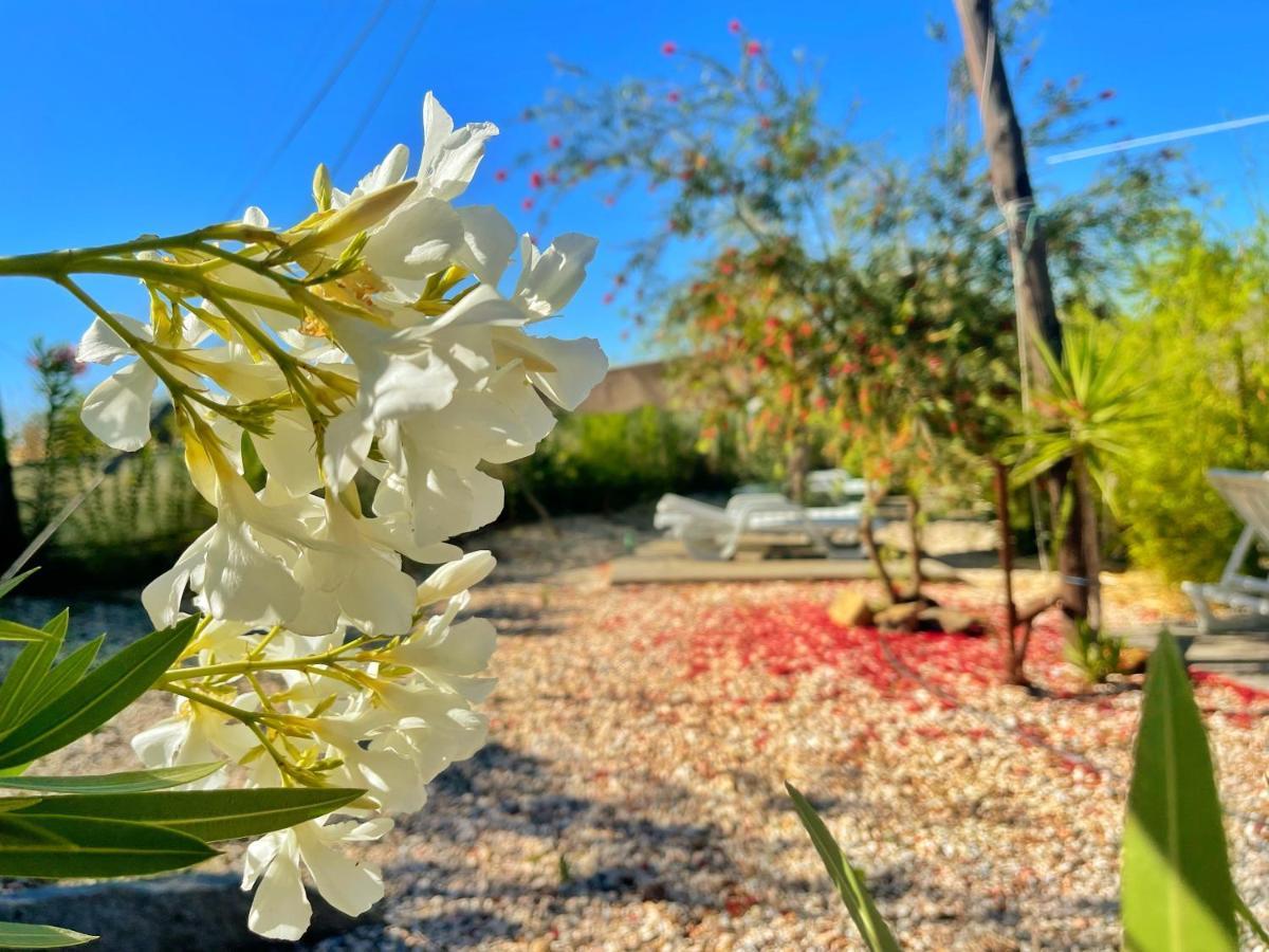 Casa Rico Frade Garden Otel São Pedro do Corval Dış mekan fotoğraf