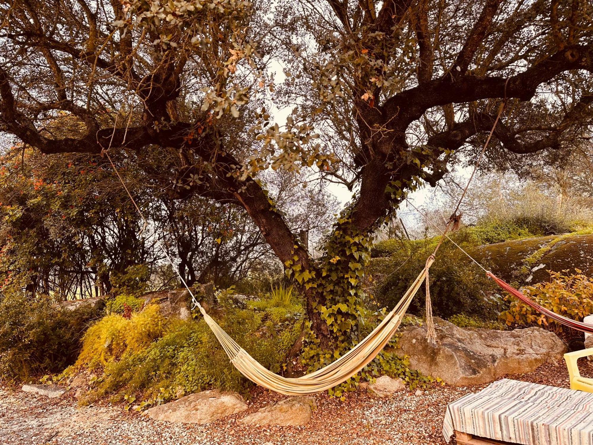 Casa Rico Frade Garden Otel São Pedro do Corval Dış mekan fotoğraf