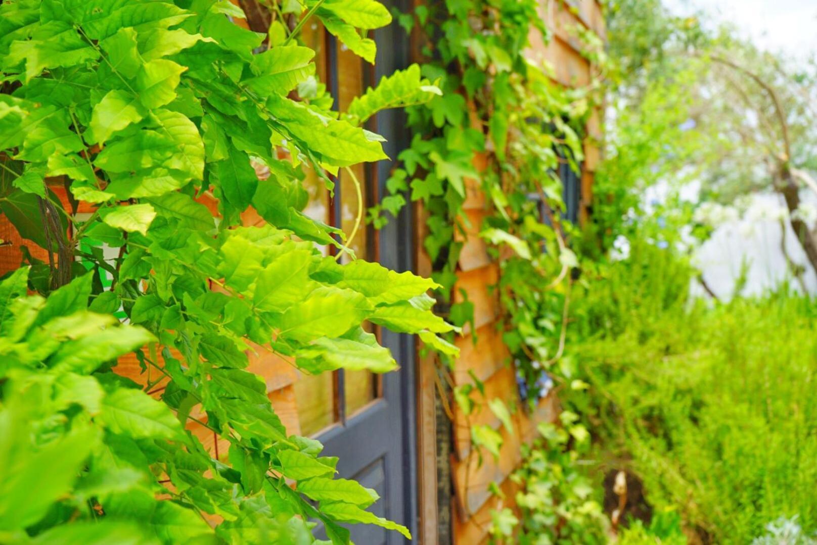 Casa Rico Frade Garden Otel São Pedro do Corval Dış mekan fotoğraf